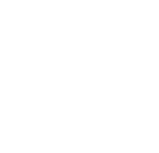 4 Star Charity Navigator logo white no border