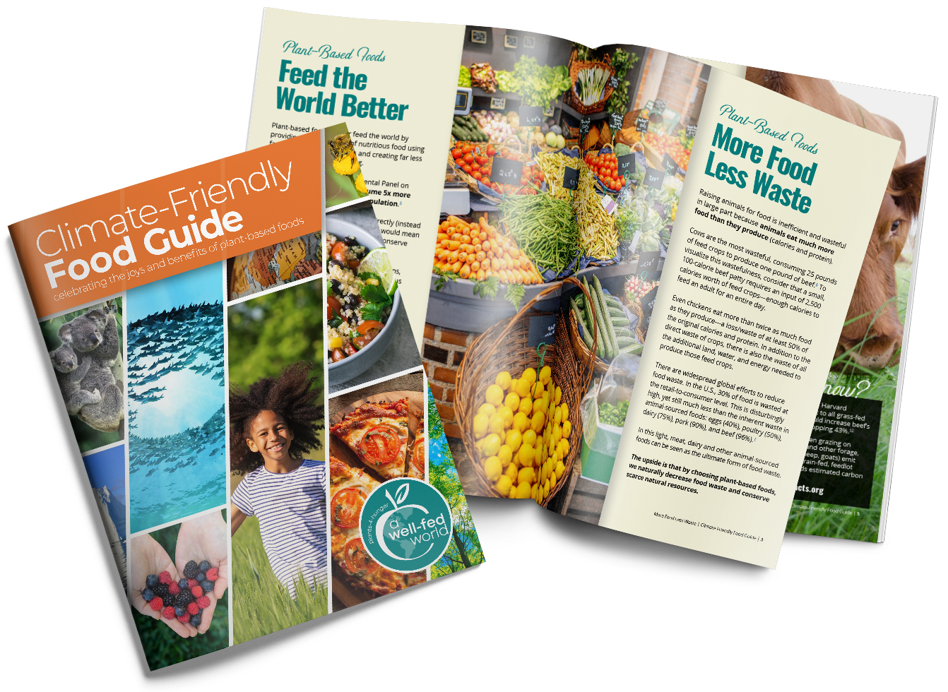CFG Booklet Mockup 4-9-23 Compact