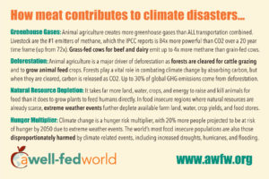 global warming card back