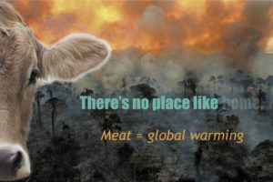 Global Warming handout front