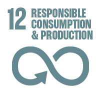 SDG 12 White Square