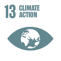 SDG 13 White Square
