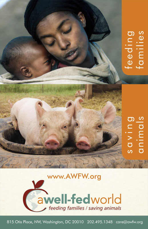 AWFW Booklet