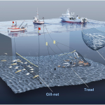 fishing methods visualization